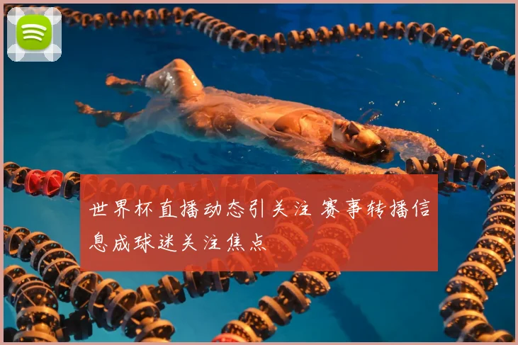 世界杯直播动态引关注 赛事转播信息成球迷关注焦点