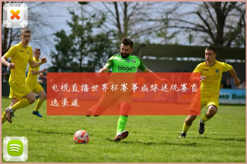 电视直播世界杯赛事成球迷观赛首选渠道