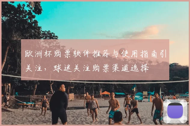 欧洲杯购票软件推荐与使用指南引关注,球迷关注购票渠道选择